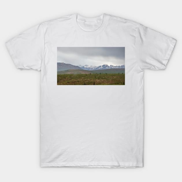 Alaska Range 2 T-Shirt by andykazie